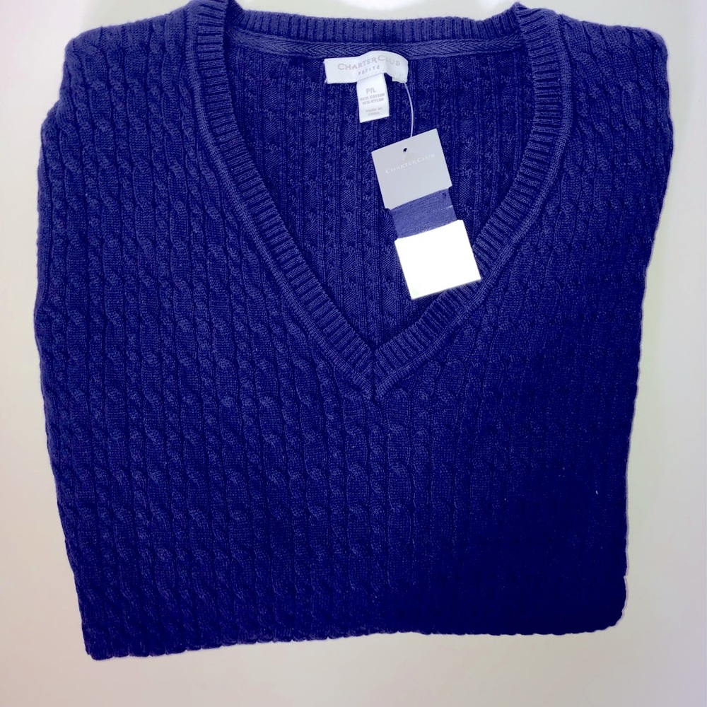 V neck Sweater-Purple-long sleeve- NWOT. Petite L  Bust 17”; Length 24”; Arm 22”